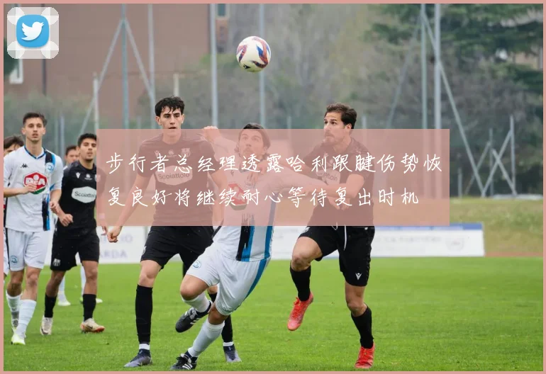 步行者总经理透露哈利跟腱伤势恢复良好将继续耐心等待复出时机
