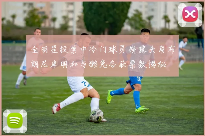 全明星投票中冷门球员崭露头角布朗尼库明加与獭兔各获票数揭秘